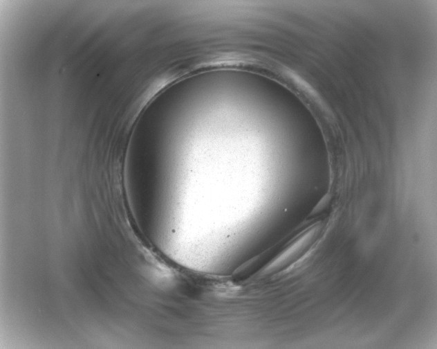 X0000066101329200603171347