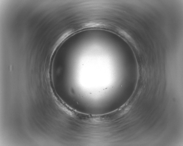 X0000066101330200603171347