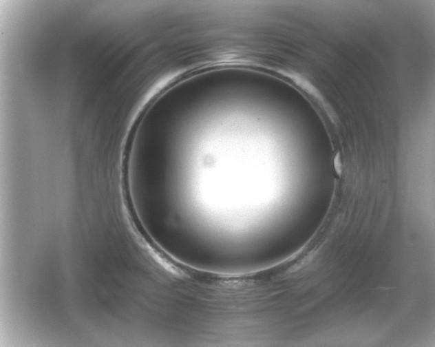 X0000066101333200603171347