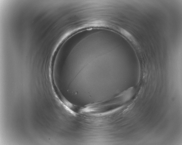 X0000066101334200603171347