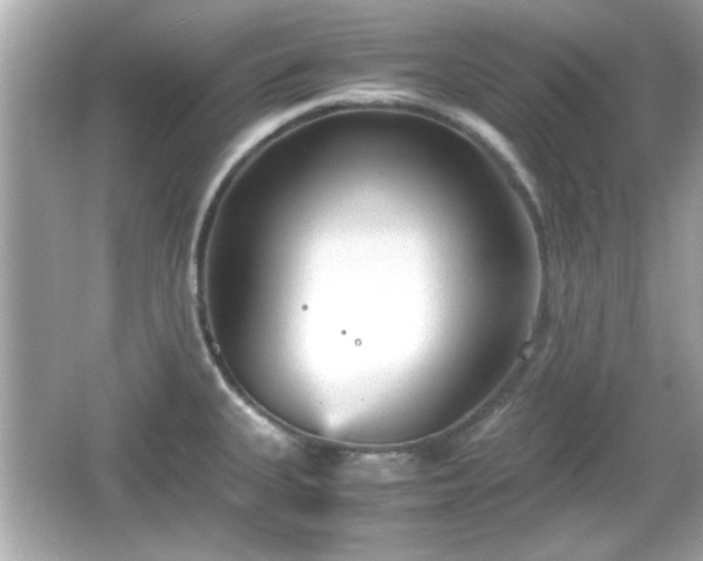 X0000066101335200603171347