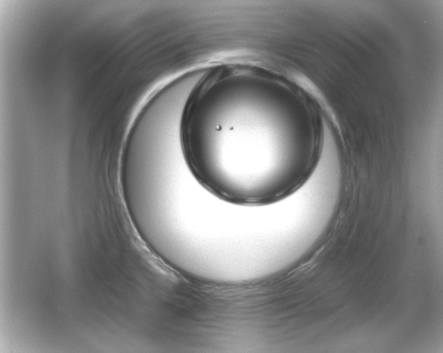 X0000066101336200603171347