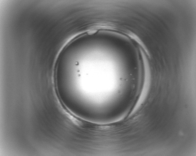 X0000066101339200603171347