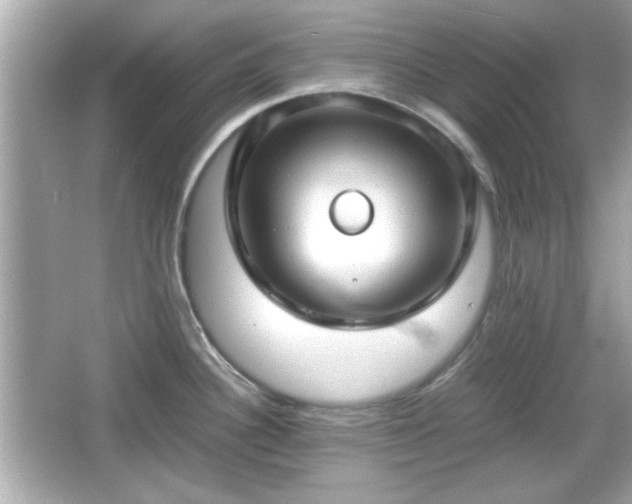 X0000066101340200603171347