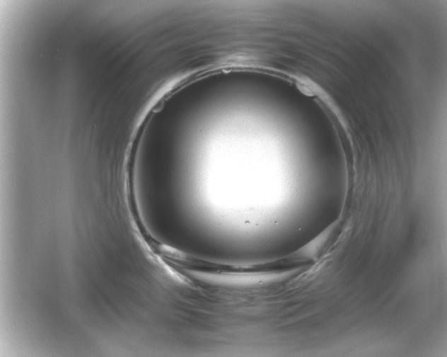 X0000066101341200603171347