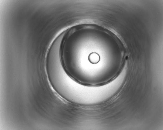 X0000066101342200603171347