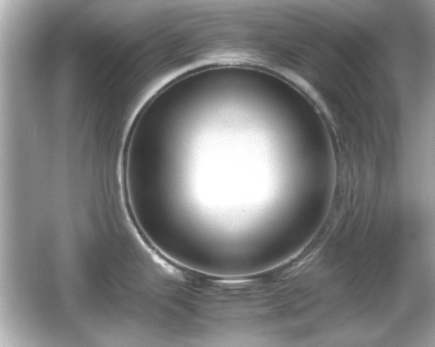 X0000066101343200603171347