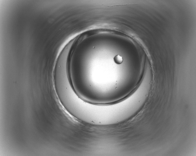 X0000066101344200603171347