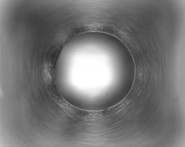 X0000066101346200603171346