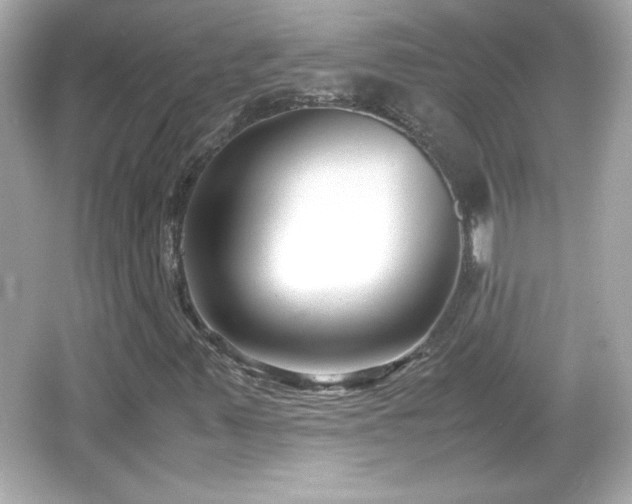 X0000066101347200603171346