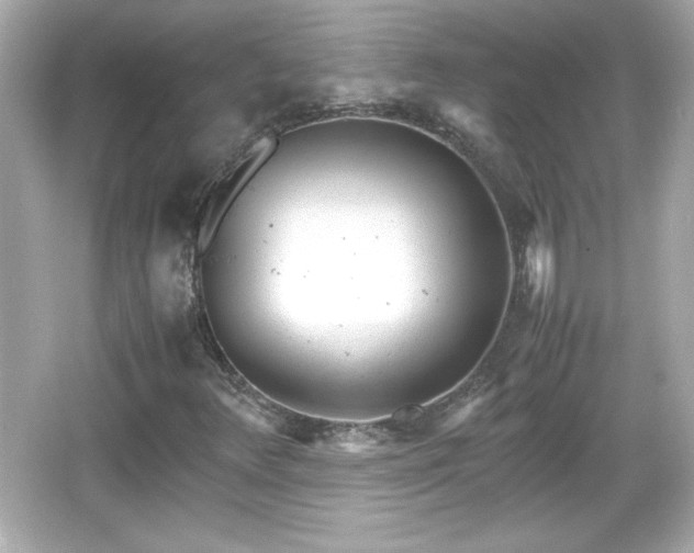 X0000066101348200603171346