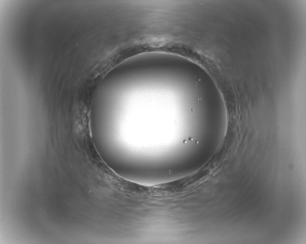 X0000066101349200603171346