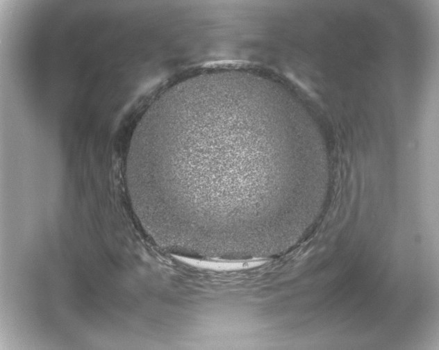 X0000066101351200603171346