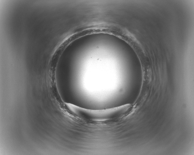 X0000066101352200603171346