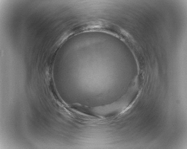 X0000066101353200603171346