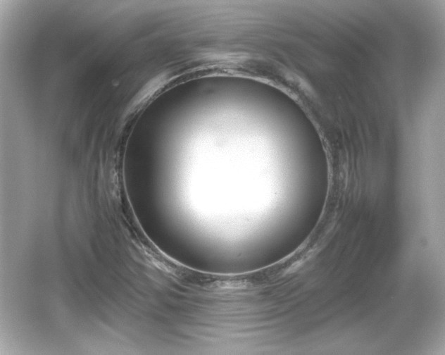 X0000066101354200603171346