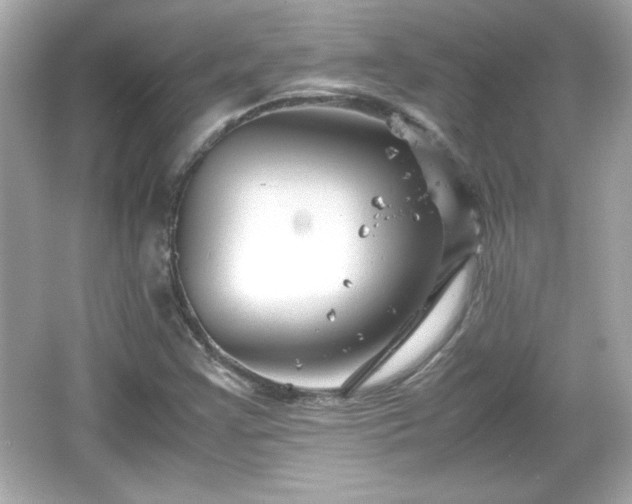 X0000066101355200603171346