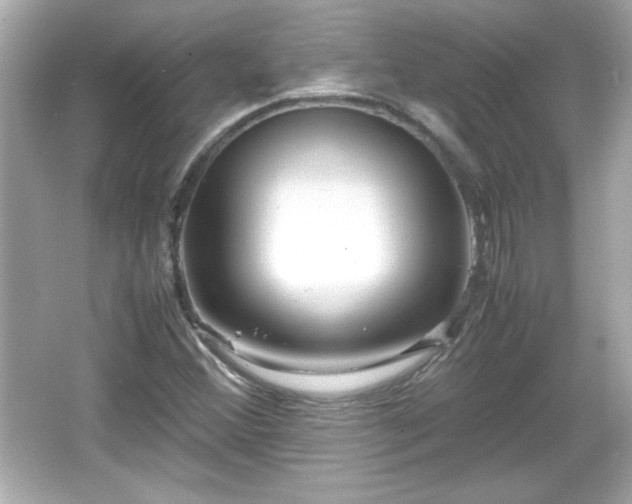 X0000066101356200603171346