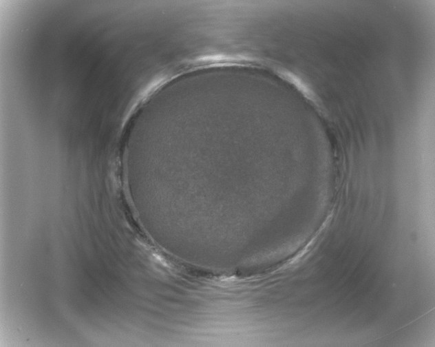 X0000066101357200603171346