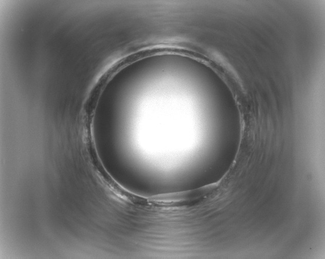 X0000066101360200603171346