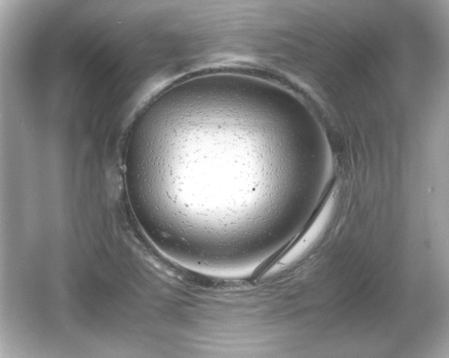 X0000066101363200603171346