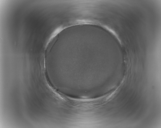 X0000066101365200603171346