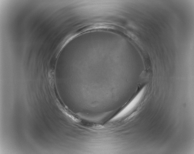 X0000066101369200603171346