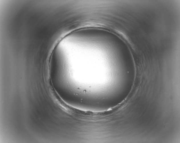 X0000066101371200603171346