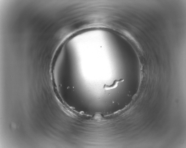 X0000066101372200603171346