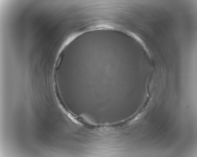 X0000066101373200603171346