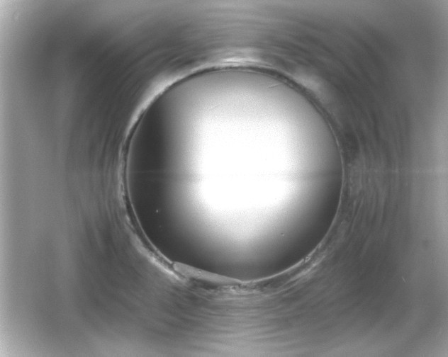 X0000066101374200603171346