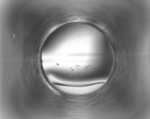 X0000066101375200603171346