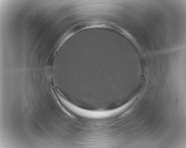 X0000066101377200603171346