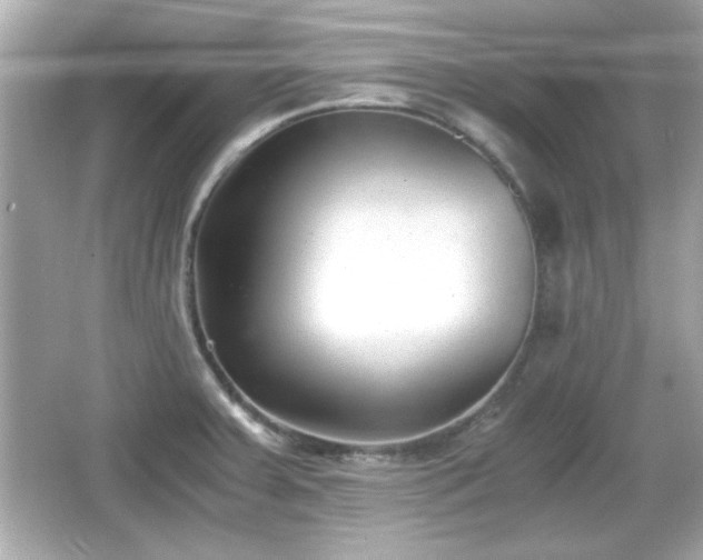 X0000066101379200603171345