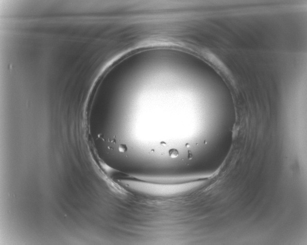 X0000066101380200603171345