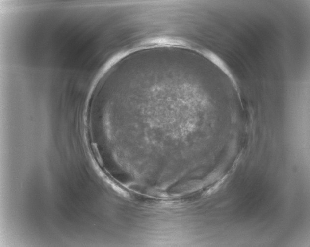 X0000066101381200603171345