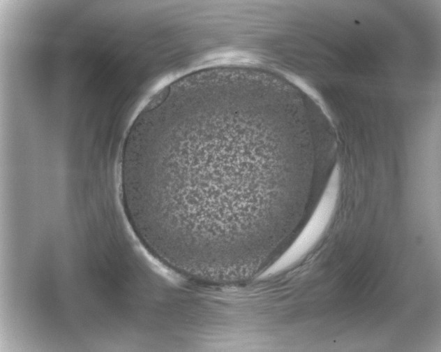 X0000066101383200603171345