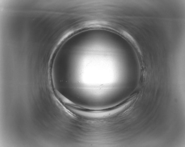 X0000066101384200603171345