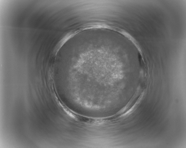 X0000066101385200603171345