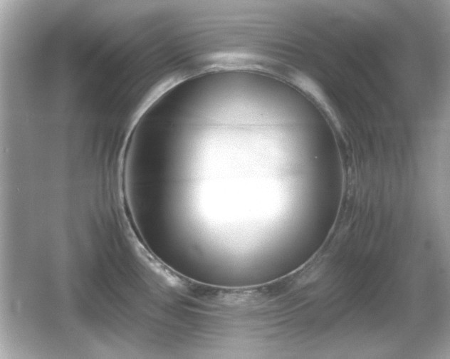 X0000066101386200603171345