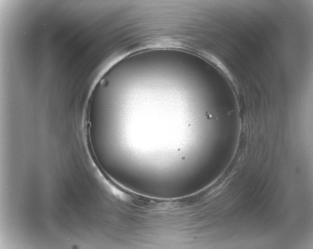 X0000066101387200603171345