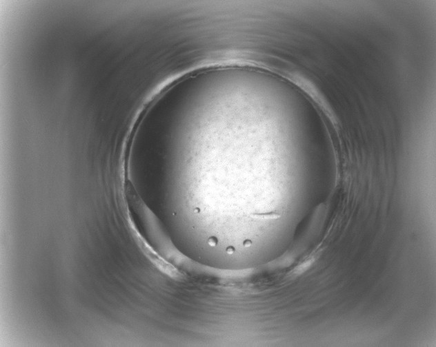 X0000066101388200603171345