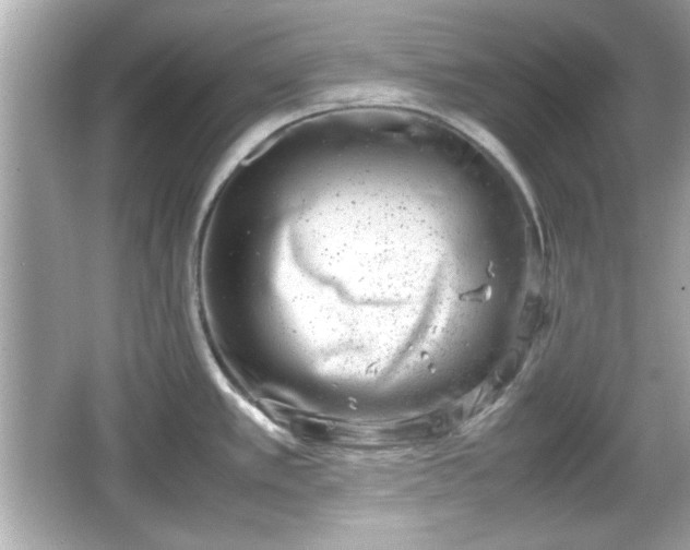 X0000066101389200603171345