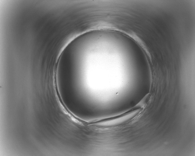 X0000066101390200603171345