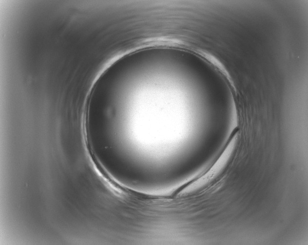 X0000066101391200603171345