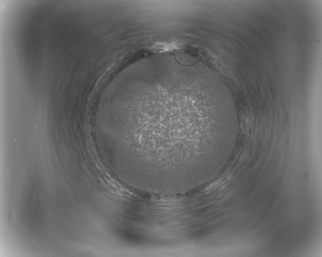 X0000066101393200603171344