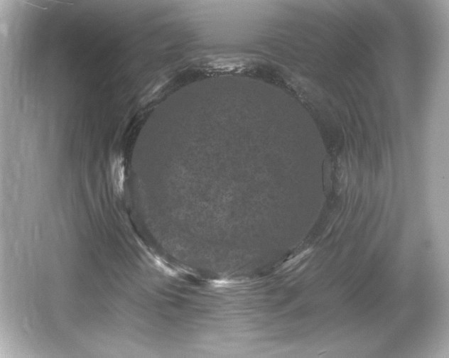 X0000066101394200603171344