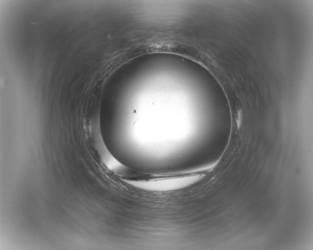 X0000066101396200603171345