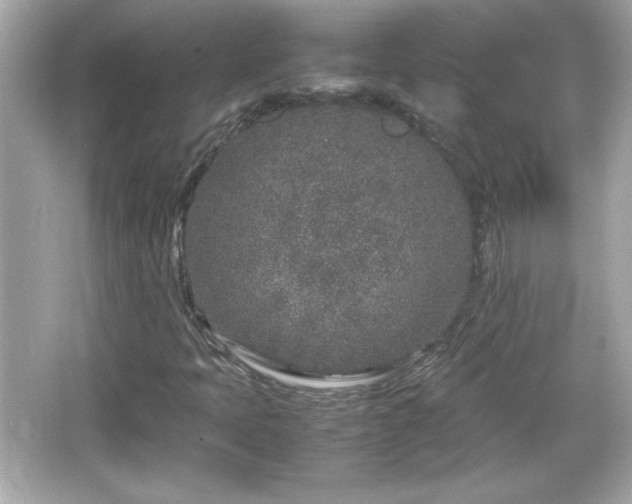 X0000066101397200603171345