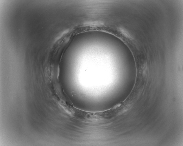 X0000066101398200603171345